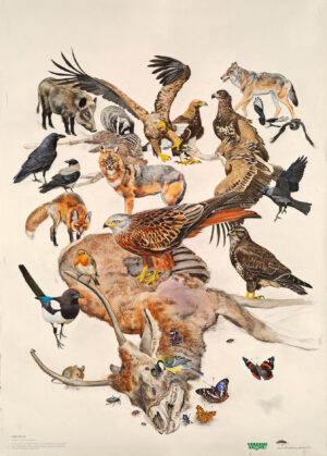 Tempereret ådselsfauna af Carl Christian Tofte - 50 x 70 cm
