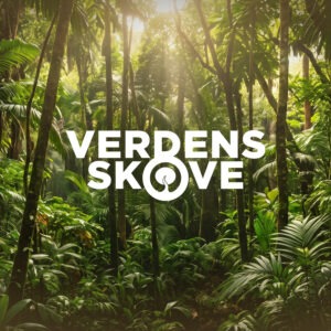Forsvar skoven hver måned - Bliv medlem