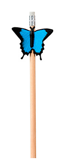 Blyant Sommerfugl