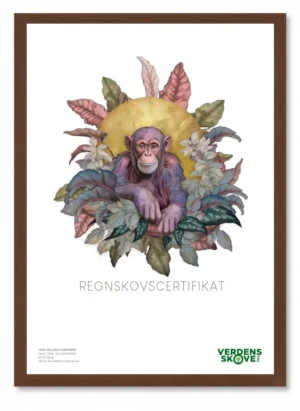 Chimpanse af Siri Bang – Regnskovscertifikat