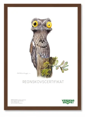 Potoo af Carl Christian Tofte – Regnskovscertifikat