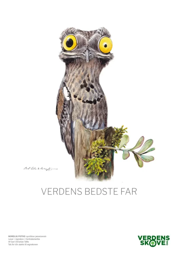 Her kan du købe skovcertifikat til din far - her er det for regnskoven.