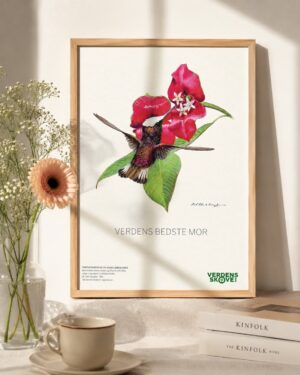 Regnskovscertifikat til mors dag - Colibri