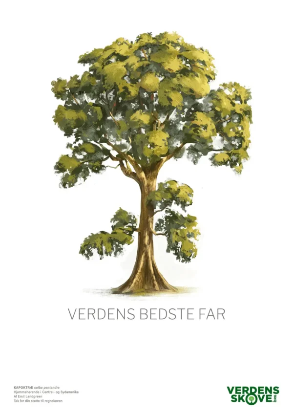 Skovbevis til fars dag, også kendt som et regnskovscertifikat. Det er helt oplagt at give skov som fars dags-gave.