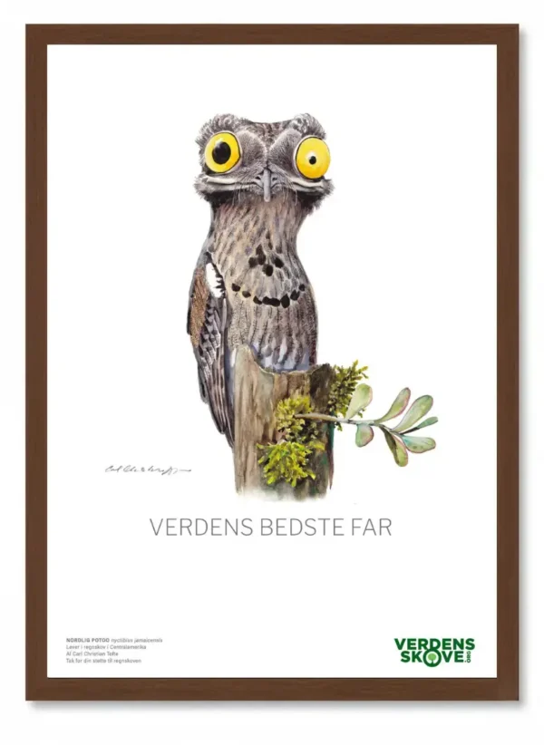 Den perfekte gave til far, der går op i klima og natur. Skovcertifikat til far med regnskov.